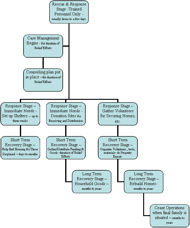 Organization Chart